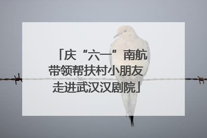 庆“六一”南航带领帮扶村小朋友走进武汉汉剧院