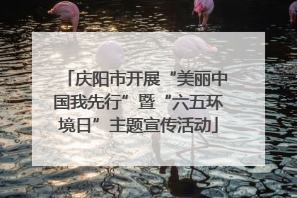 庆阳市开展“美丽中国我先行”暨“六五环境日”主题宣传活动