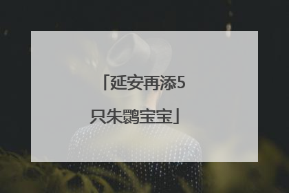 延安再添5只朱鹮宝宝