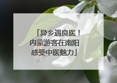 异乡遇良医！内蒙游客在南阳感受中医魅力