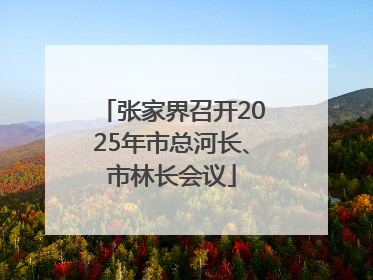 张家界召开2025年市总河长、市林长会议