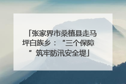 张家界市桑植县走马坪白族乡：“三个保障”筑牢防汛安全堤