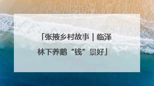张掖乡村故事｜临泽林下养鹅“钱”景好