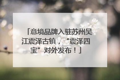 意境品牌入驻苏州吴江震泽古镇，“震泽四宝”对外发布！