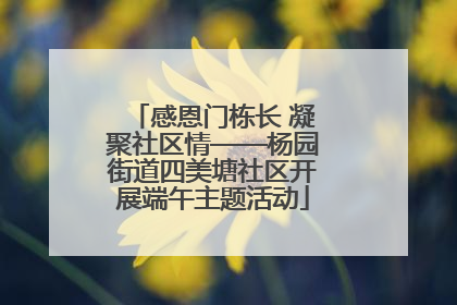 感恩门栋长 凝聚社区情——杨园街道四美塘社区开展端午主题活动