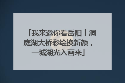 我来邀你看岳阳丨洞庭湖大桥彩绘换新颜，一城湖光入画来