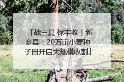 战三夏 保丰收丨新乡县：20万亩小麦种子田开启大规模收割