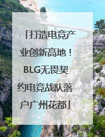 打造电竞产业创新高地！BLG无畏契约电竞战队落户广州花都