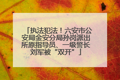 执法犯法！六安市公安局金安分局孙岗派出所原指导员、一级警长刘军被“双开”