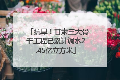 抗旱！甘肃三大骨干工程已累计调水2.45亿立方米