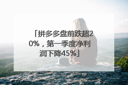 拼多多盘前跌超20%，第一季度净利润下降45%