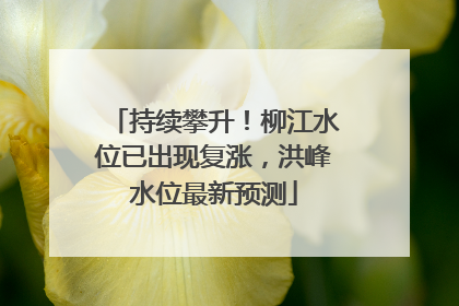 持续攀升！柳江水位已出现复涨，洪峰水位最新预测
