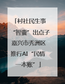 村社民生事 “智囊”出点子 嘉兴市秀洲区推行AI“民情一本账”
