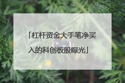 杠杆资金大手笔净买入的科创板股曝光