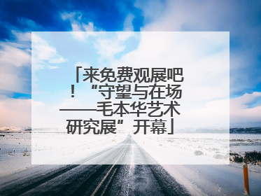 来免费观展吧！“守望与在场——毛本华艺术研究展”开幕