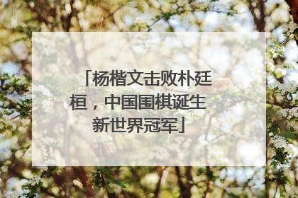 杨楷文击败朴廷桓，中国围棋诞生新世界冠军