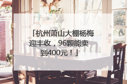 杭州萧山大棚杨梅迎丰收，96颗能卖到400元！