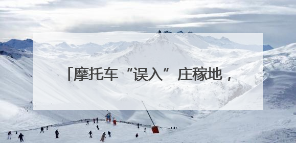 摩托车“误入”庄稼地，驾驶人“撒泼”终难逃