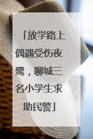 放学路上偶遇受伤夜鹭，聊城三名小学生求助民警