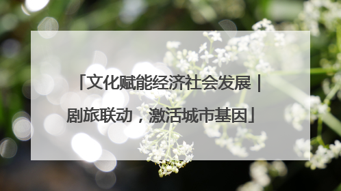 文化赋能经济社会发展｜剧旅联动，激活城市基因