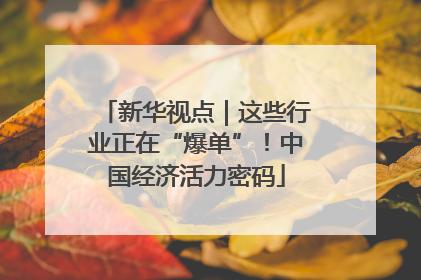 新华视点｜这些行业正在“爆单”！中国经济活力密码