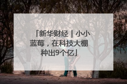 新华财经｜小小蓝莓，在科技大棚种出9个亿
