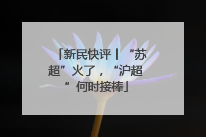 新民快评丨“苏超”火了，“沪超”何时接棒