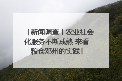 新闻调查丨农业社会化服务不断成熟 来看粮仓邓州的实践