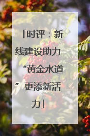时评：新线建设助力“黄金水道”更添新活力