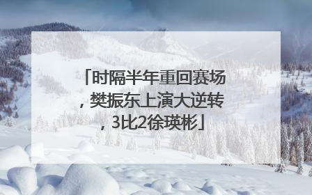 时隔半年重回赛场，樊振东上演大逆转，3比2徐瑛彬