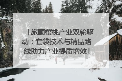 旅顺樱桃产业双轮驱动：套袋技术与精品路线助力产业提质增效