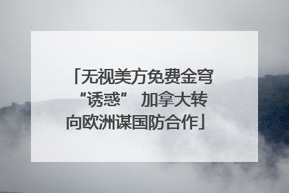 无视美方免费金穹“诱惑” 加拿大转向欧洲谋国防合作