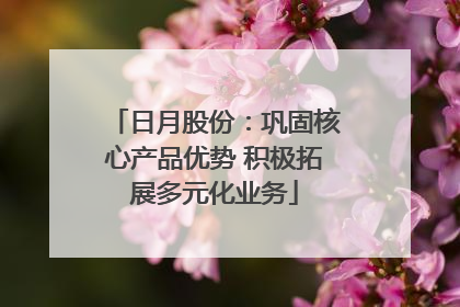 日月股份：巩固核心产品优势 积极拓展多元化业务