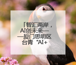 智汇两岸，AI创未来——厦门思明区台青“AI+”赋能提升计划启航