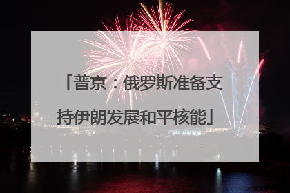 普京：俄罗斯准备支持伊朗发展和平核能