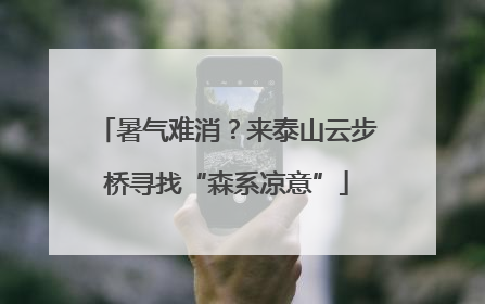 暑气难消？来泰山云步桥寻找“森系凉意”