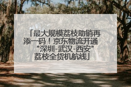 最大规模荔枝助销再添一码！京东物流开通“深圳-武汉-西安” 荔枝全货机航线