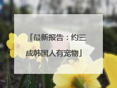最新报告：约三成韩国人有宠物