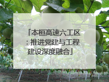 本桓高速六工区：推进党建与工程建设深度融合