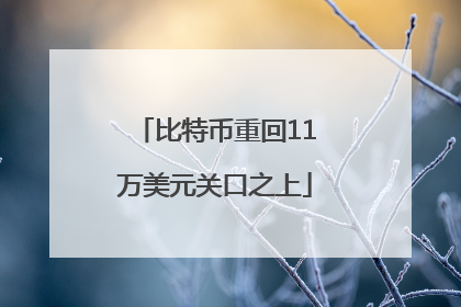 比特币重回11万美元关口之上