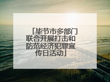 毕节市多部门联合开展打击和防范经济犯罪宣传日活动