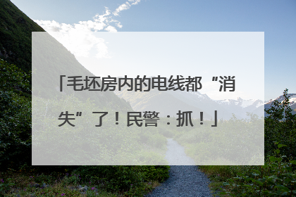 毛坯房内的电线都“消失”了！民警：抓！