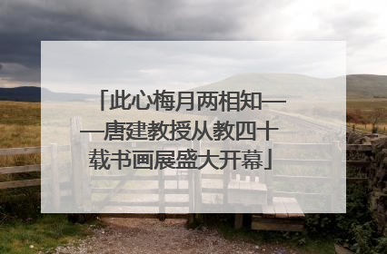 此心梅月两相知——唐建教授从教四十载书画展盛大开幕