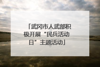 武冈市人武部积极开展“民兵活动日”主题活动