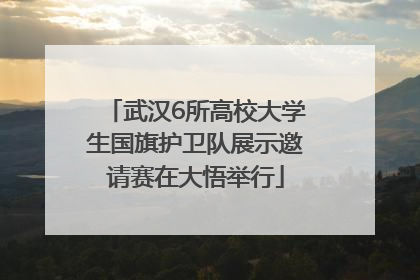 武汉6所高校大学生国旗护卫队展示邀请赛在大悟举行