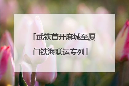 武铁首开麻城至厦门铁海联运专列