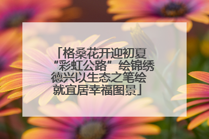 格桑花开迎初夏 “彩虹公路”绘锦绣 德兴以生态之笔绘就宜居幸福图景