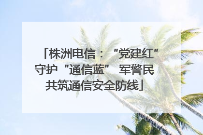株洲电信：“党建红”守护“通信蓝” 军警民共筑通信安全防线