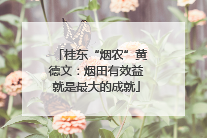 桂东“烟农”黄德文：烟田有效益就是最大的成就