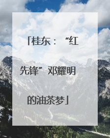 桂东：“红先锋”邓耀明的油茶梦